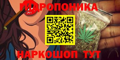 эйфоретик Берёзовский