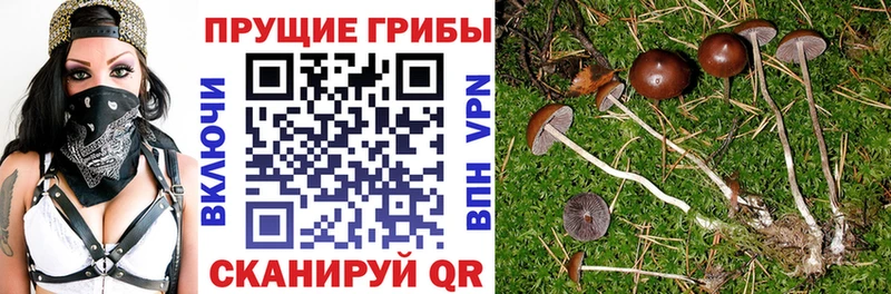 Галлюциногенные грибы ЛСД  Владимир 