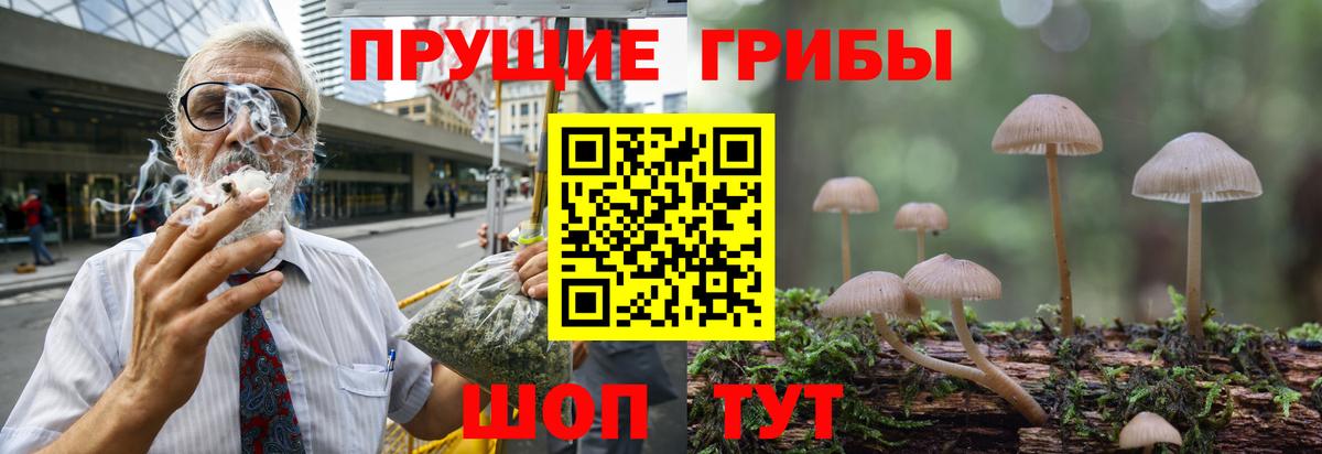 Псилоцибиновые грибы ЛСД Владимир