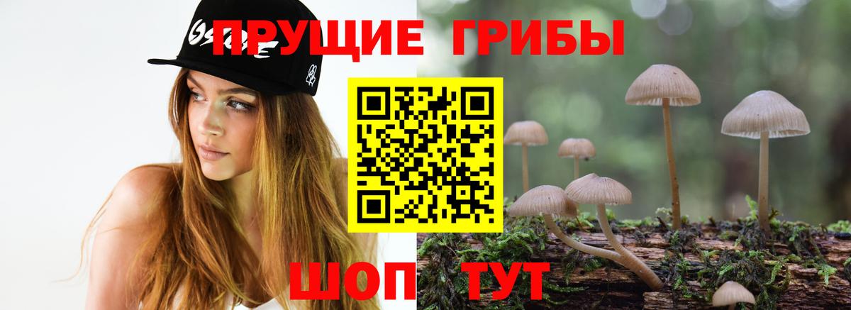 Псилоцибиновые грибы прущие грибы  Псилоцибиновые грибы MAGIC MUSHROOMS  Владимир 